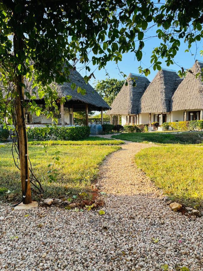 Miti Beach Bungalows Nungwi Exteriér fotografie
